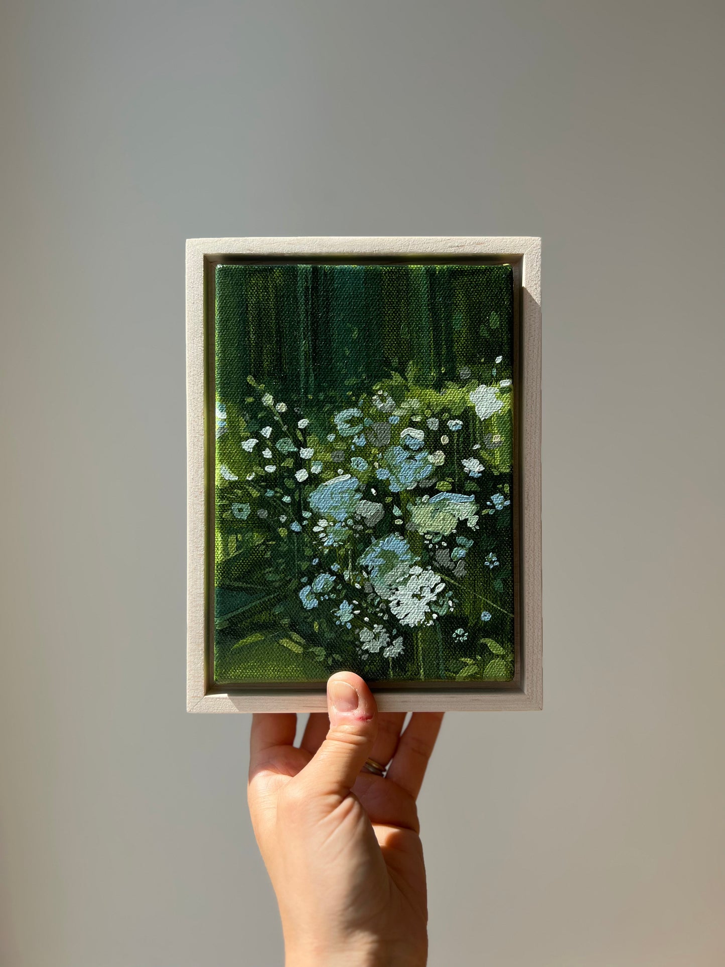 Queen Anne's Lace Sketch | 5x7 | Acrylic on Canvas Framed