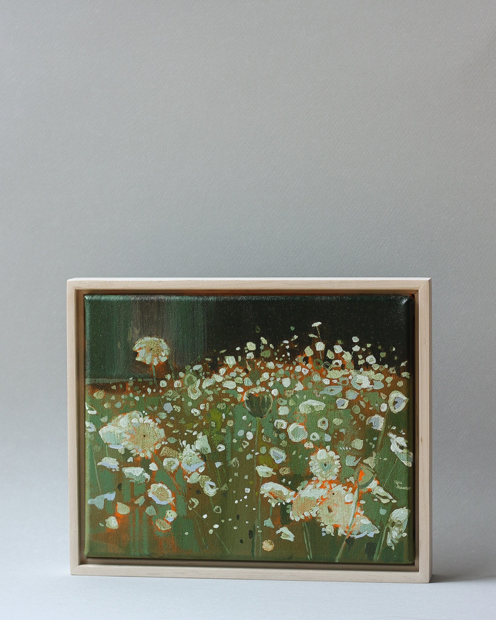 Queen Annes Lace Field | 8x10 | Acrylic on Canvas Framed