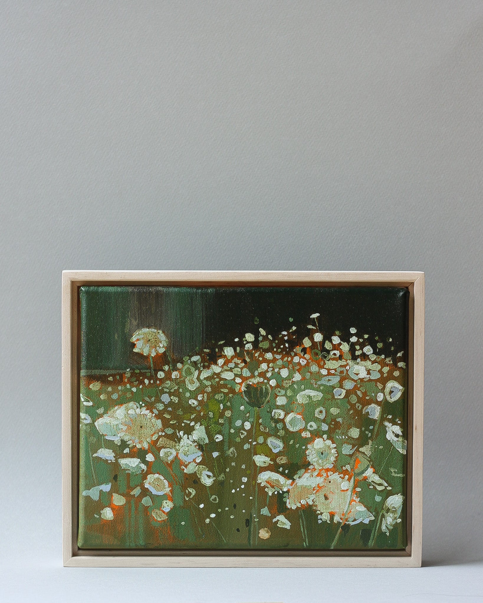 Queen Annes Lace Field | 8x10 | Acrylic on Canvas Framed