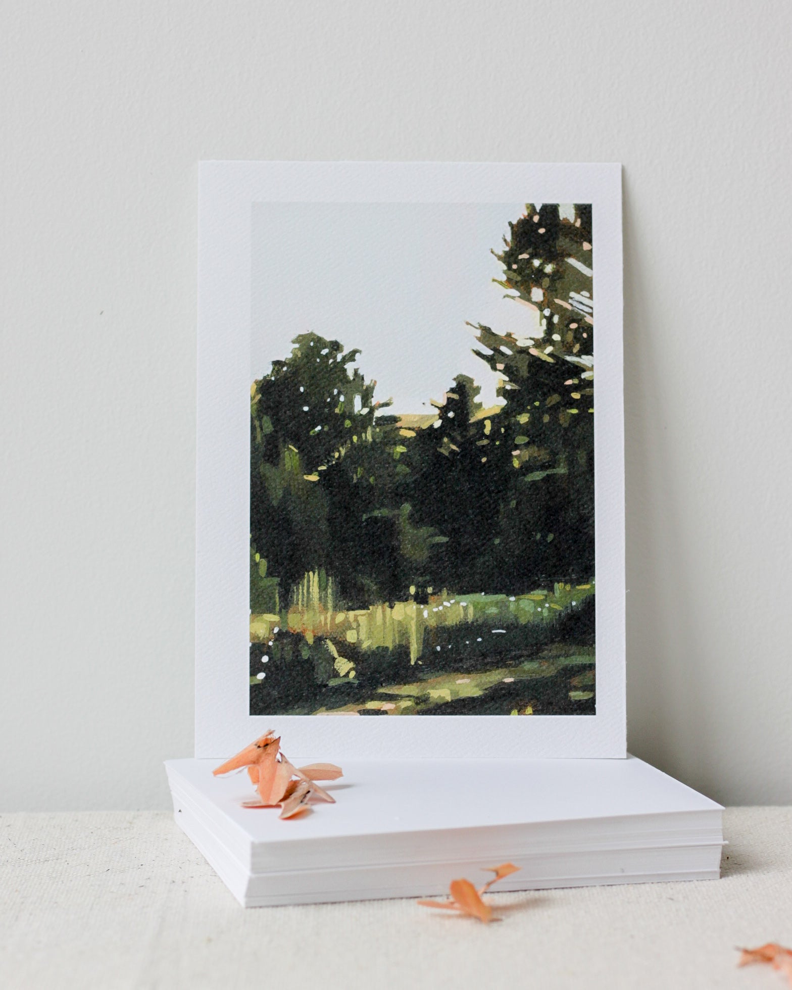 TLK x SMD | 6 Card Pack | Explore