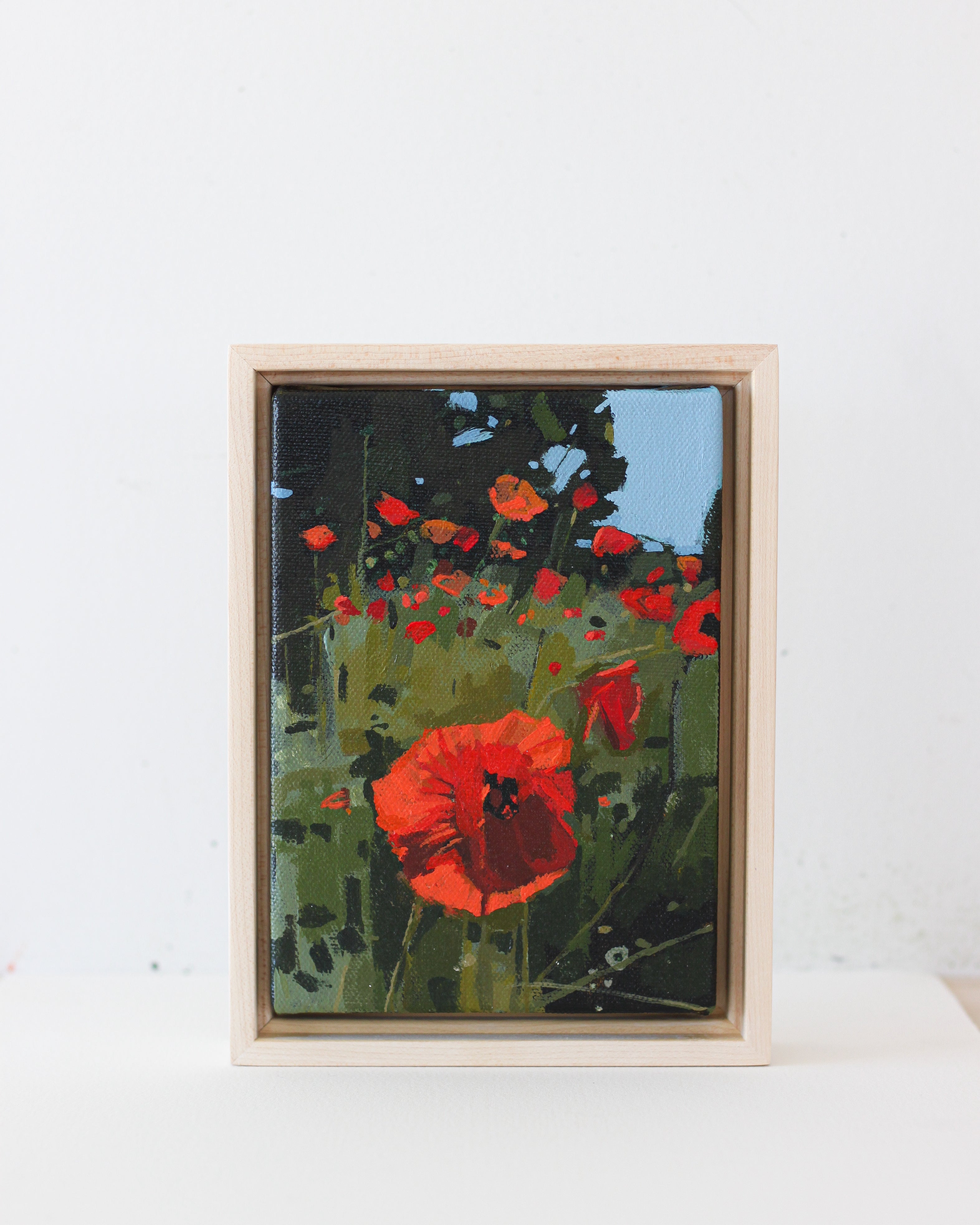 Poppy Field | 5x7 | Acrylic on Canvas Framed