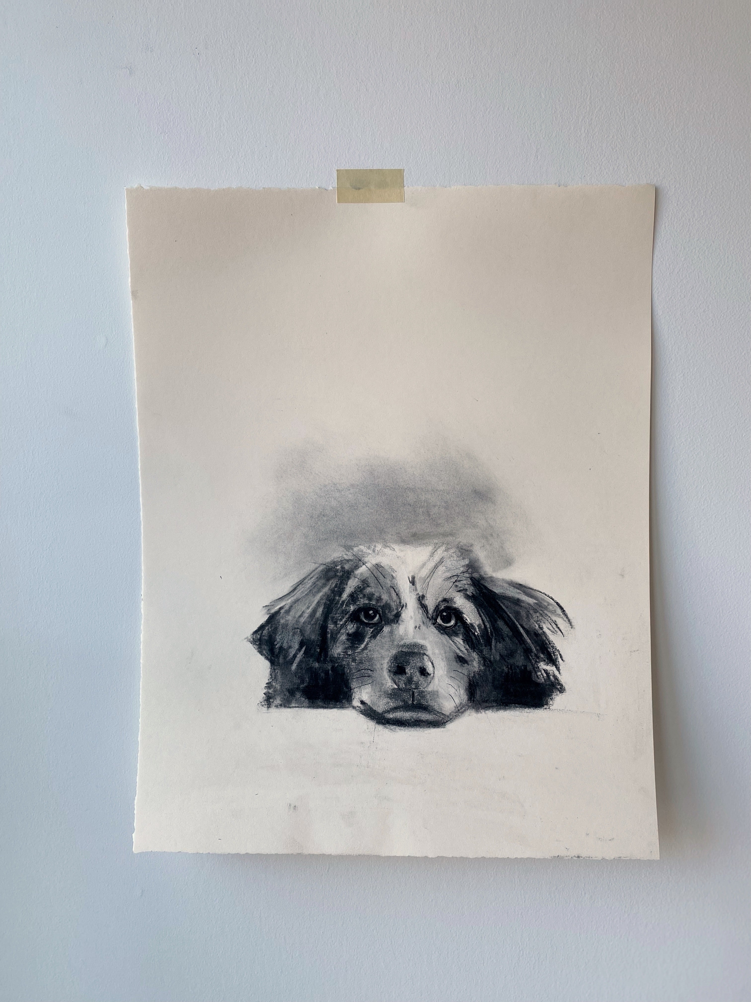 Gauthier | 15x19 | Custom Portrait