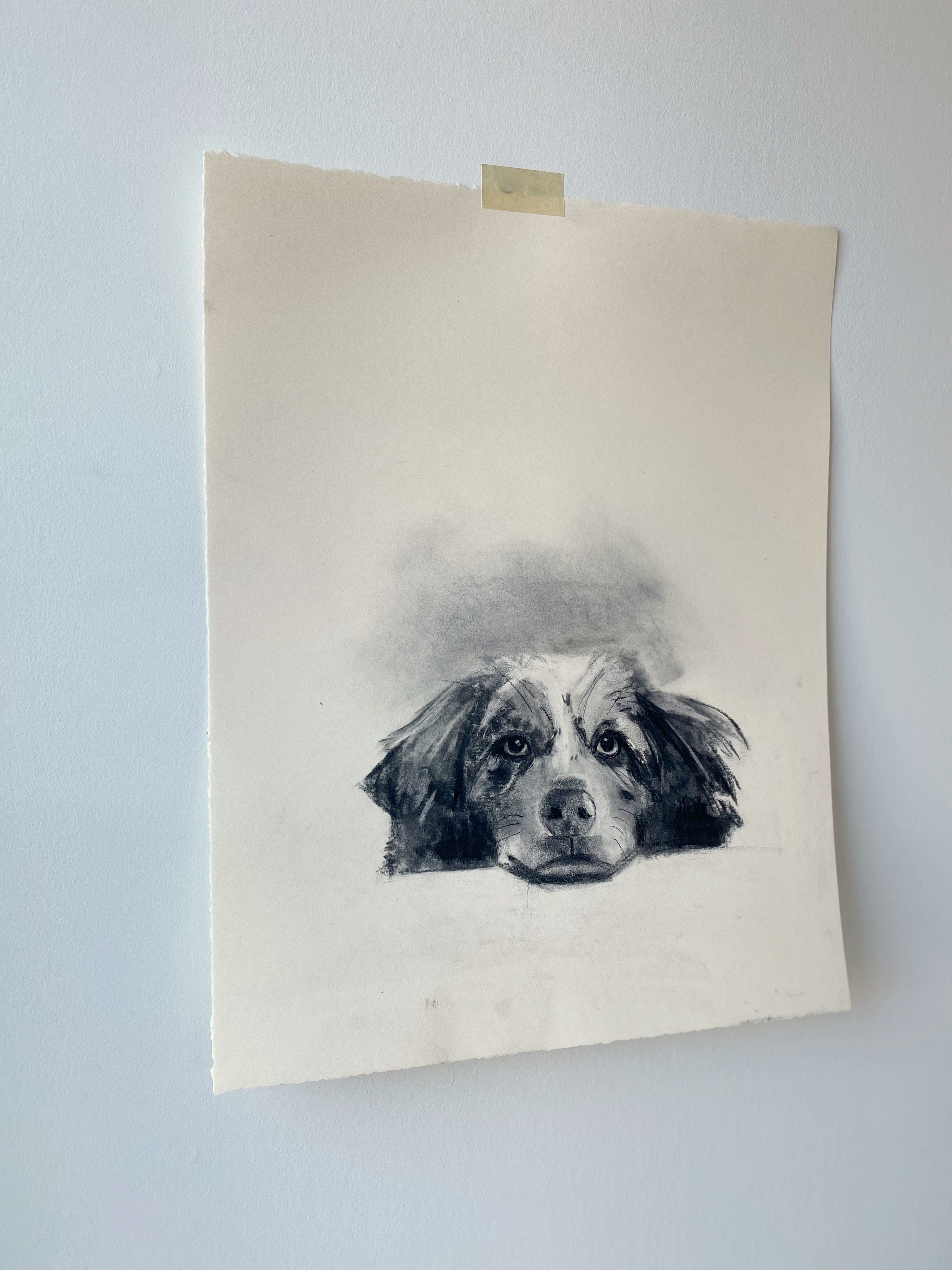 Gauthier | 15x19 | Custom Portrait