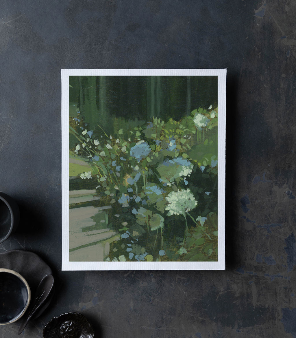 Queen Anne's Lace Study | Print on Canvas