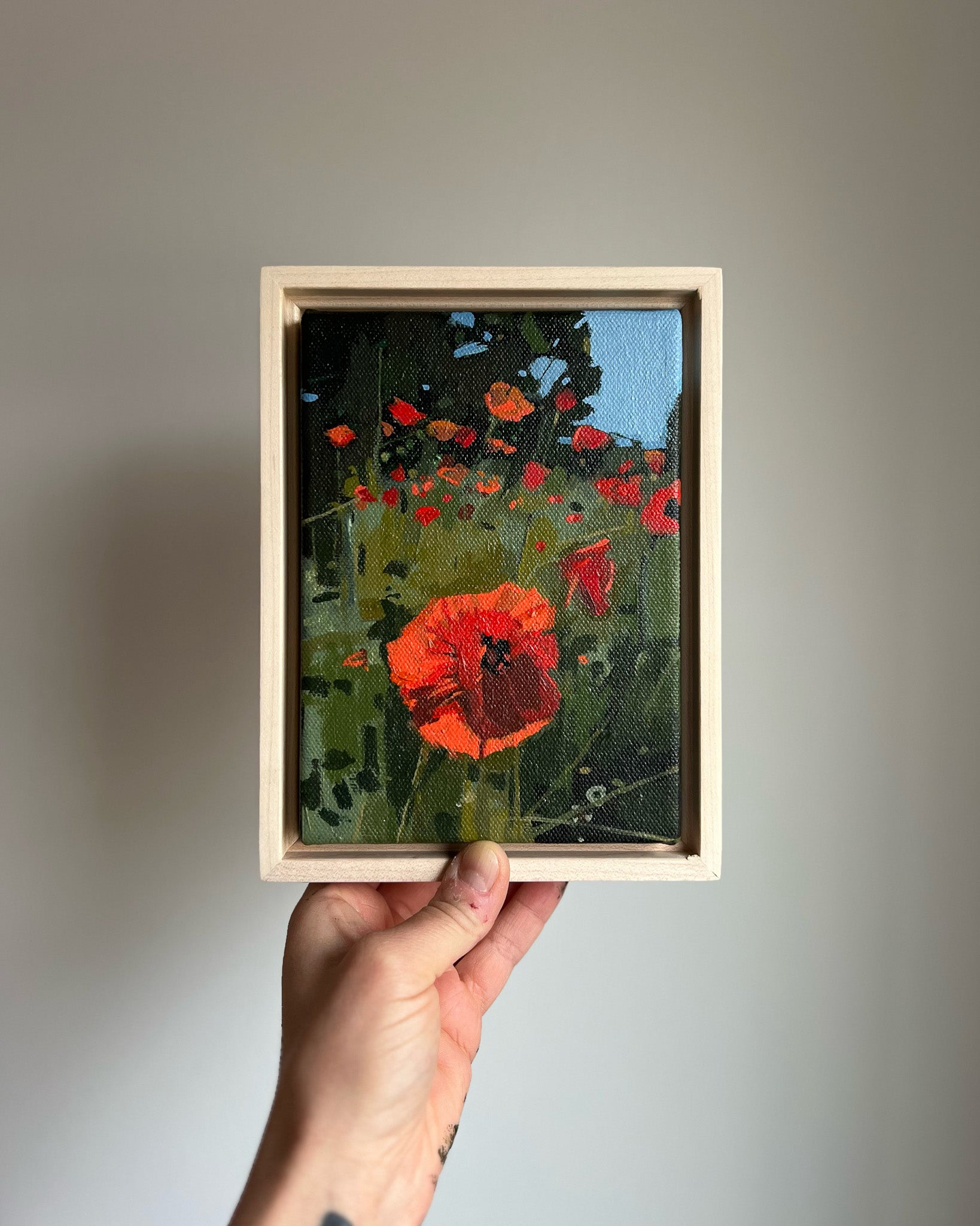 Poppy Field | 5x7 | Acrylic on Canvas Framed