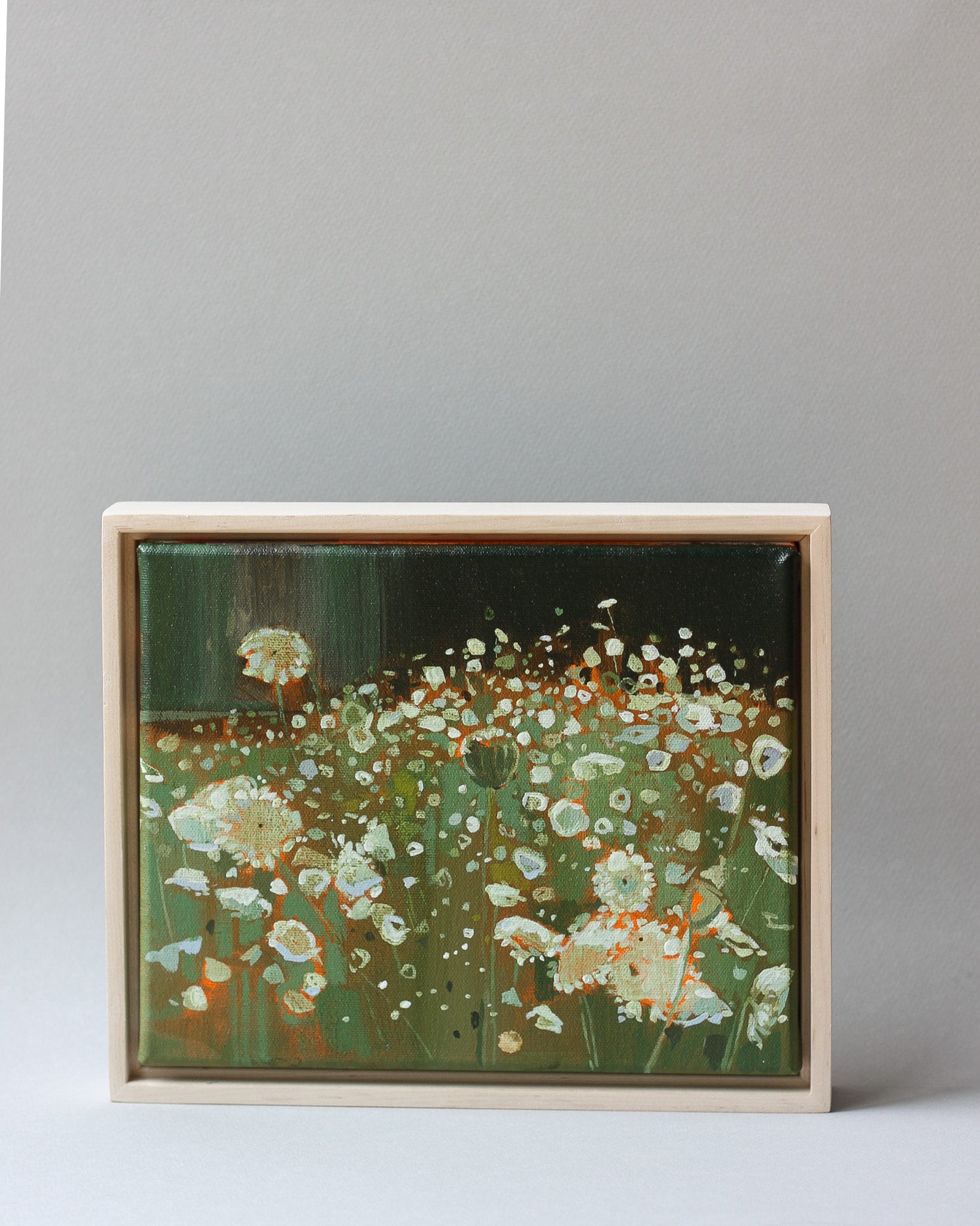 Queen Annes Lace Field | 8x10 | Acrylic on Canvas Framed
