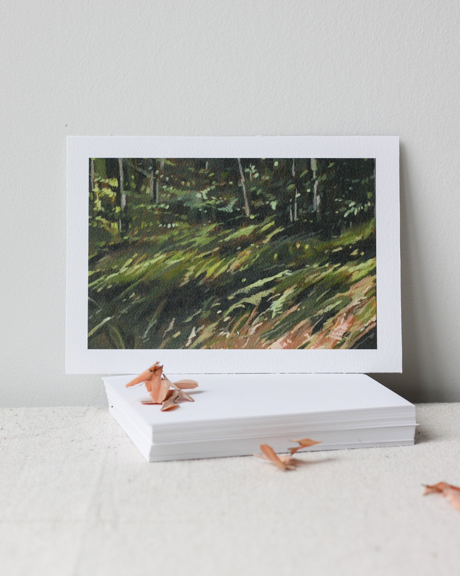 TLK x SMD | 6 Card Pack | Explore