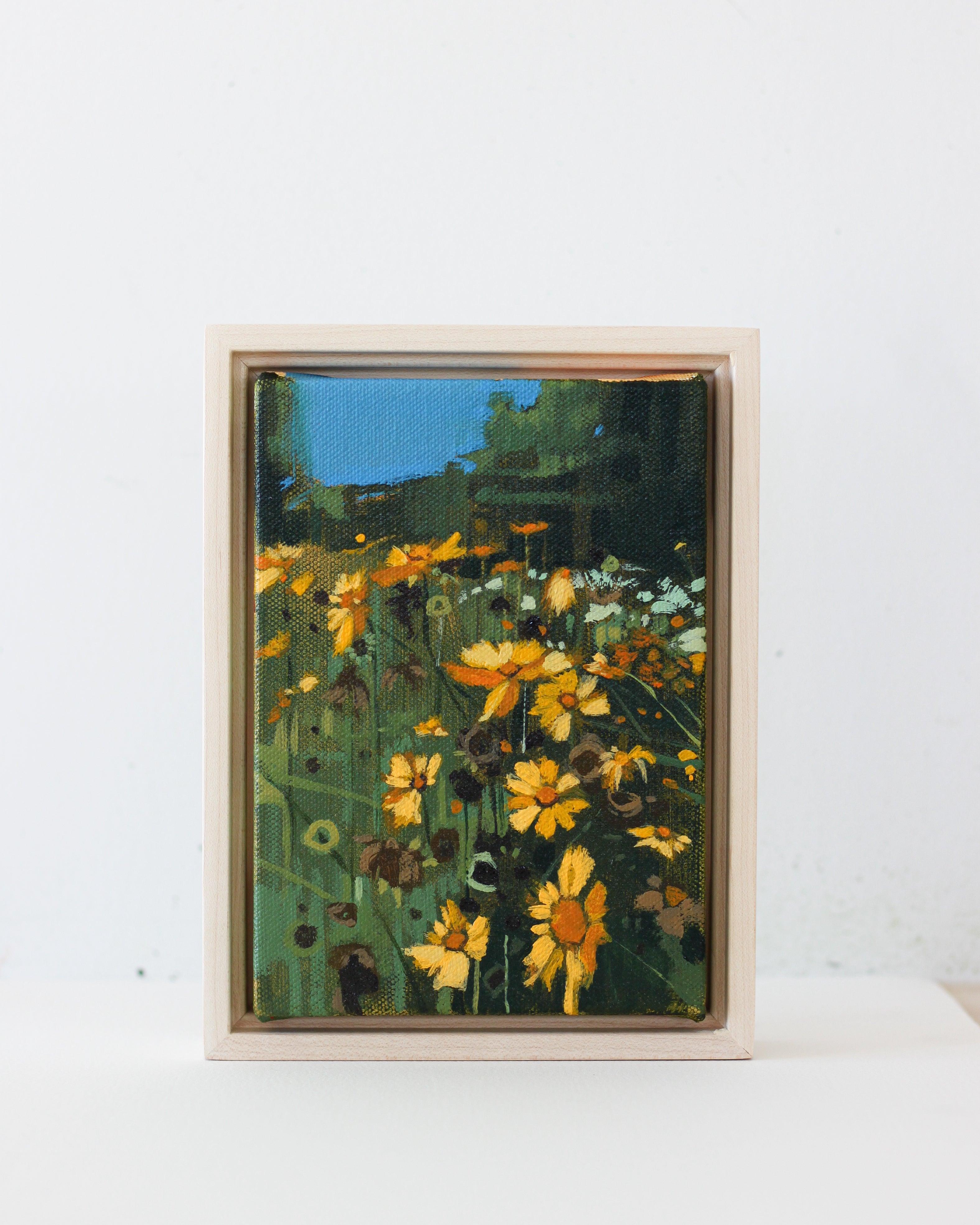 Black Eyed Susans | 5x7 | Acrylic on Canvas Framed