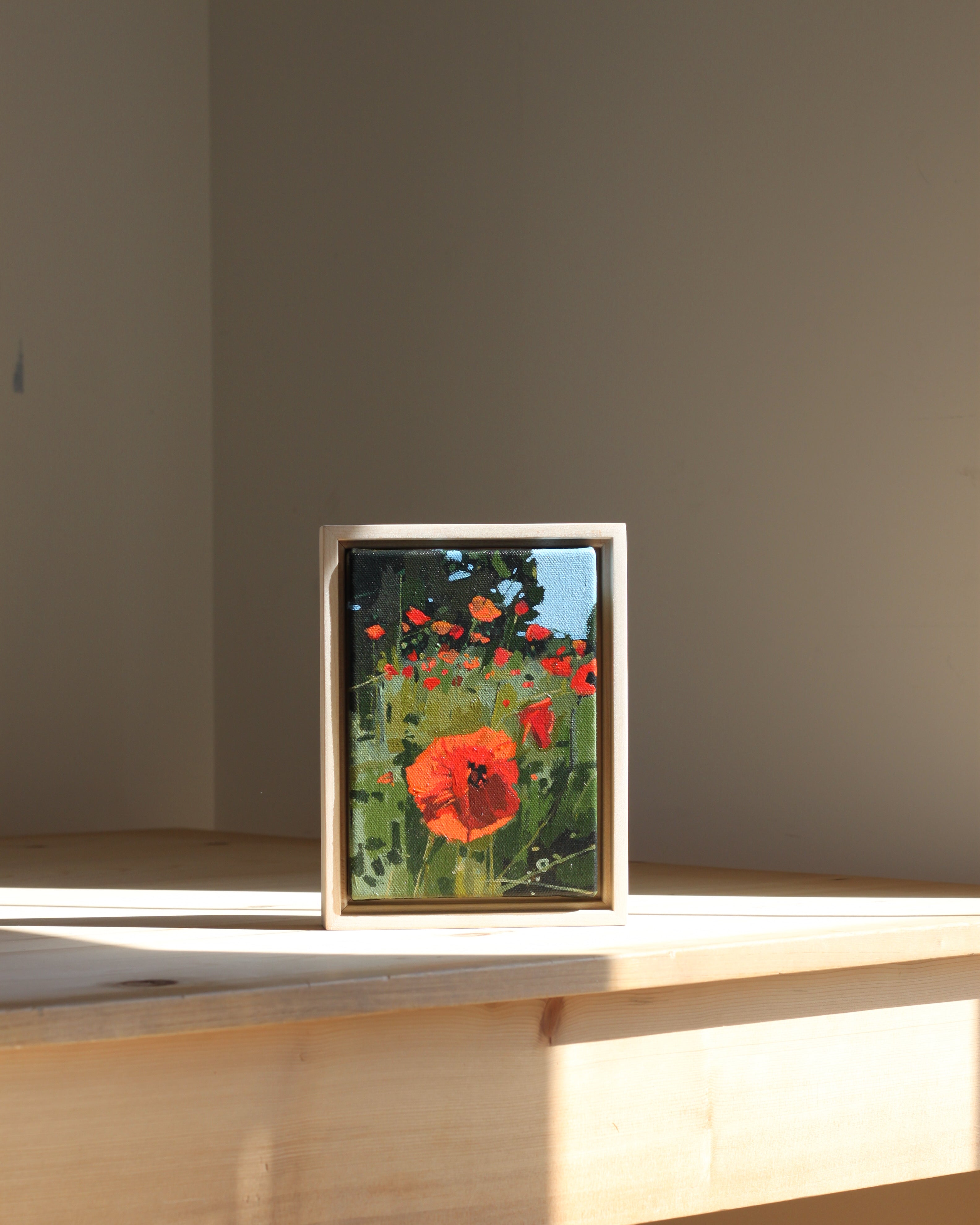 Poppy Field | 5x7 | Acrylic on Canvas Framed
