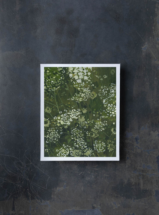 Queen Anne’s Lace Spring | Print Reproduction on Paper