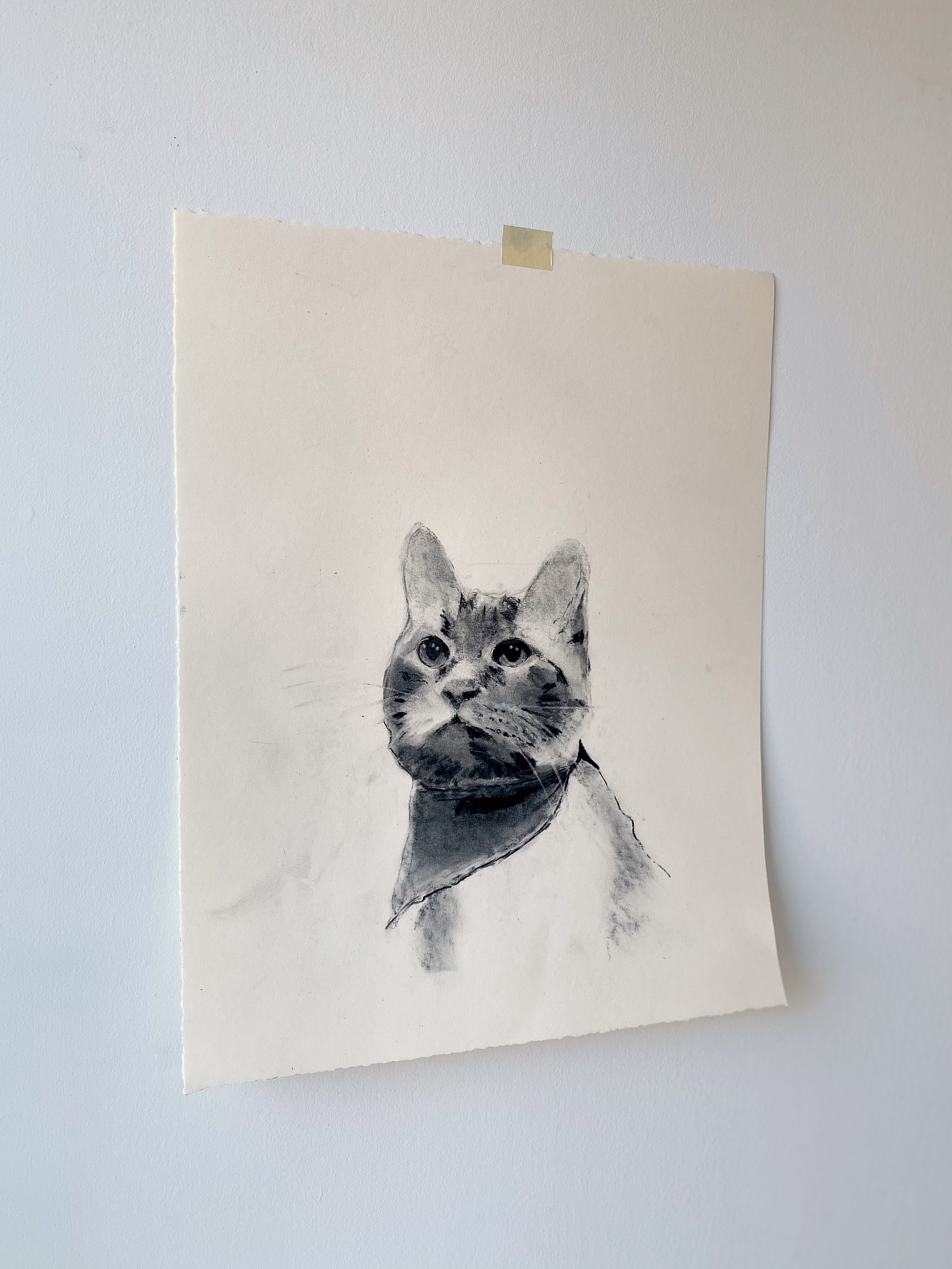 Gauthier | 15x19 | Custom Portrait