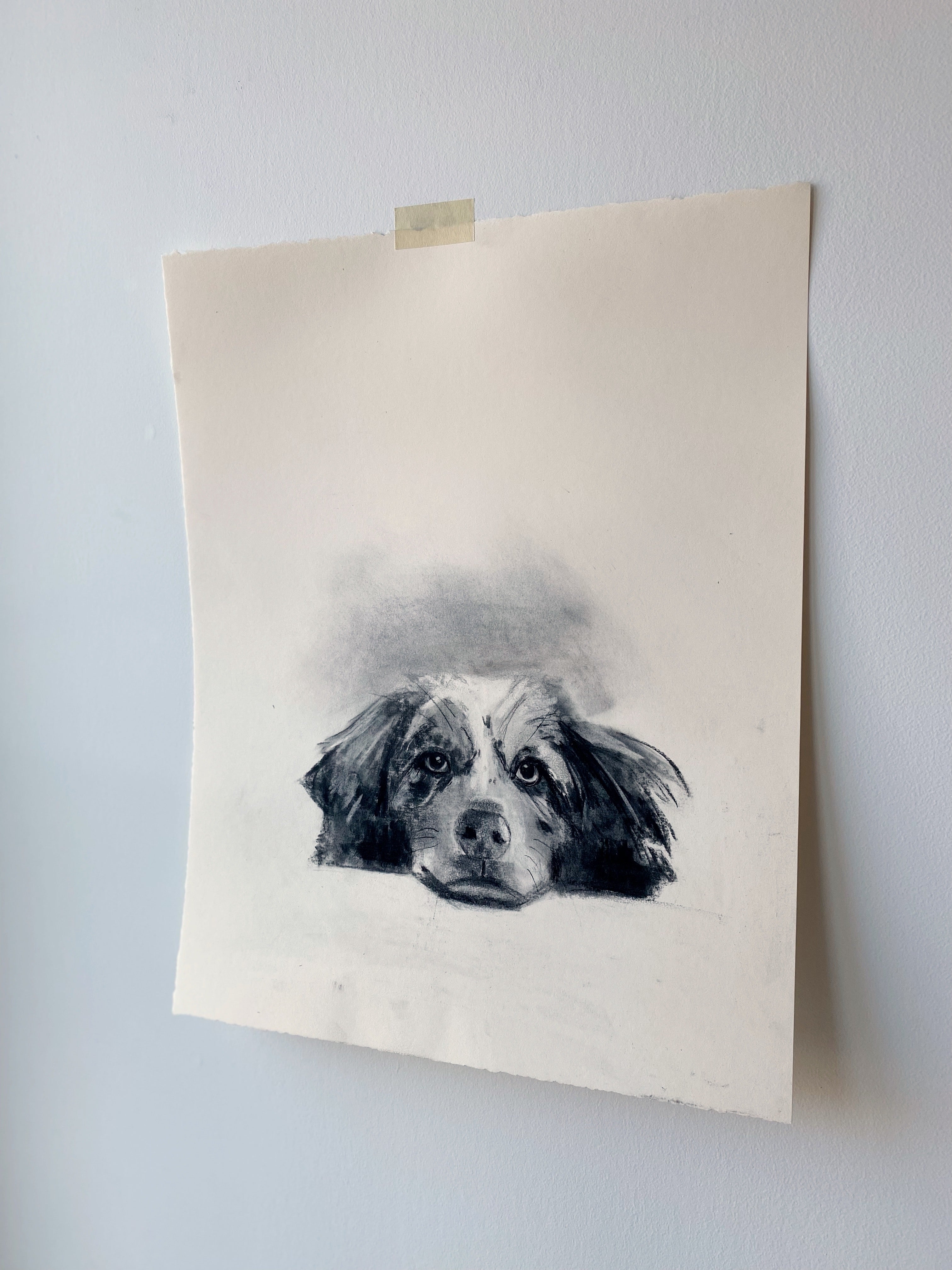 Gauthier | 15x19 | Custom Portrait