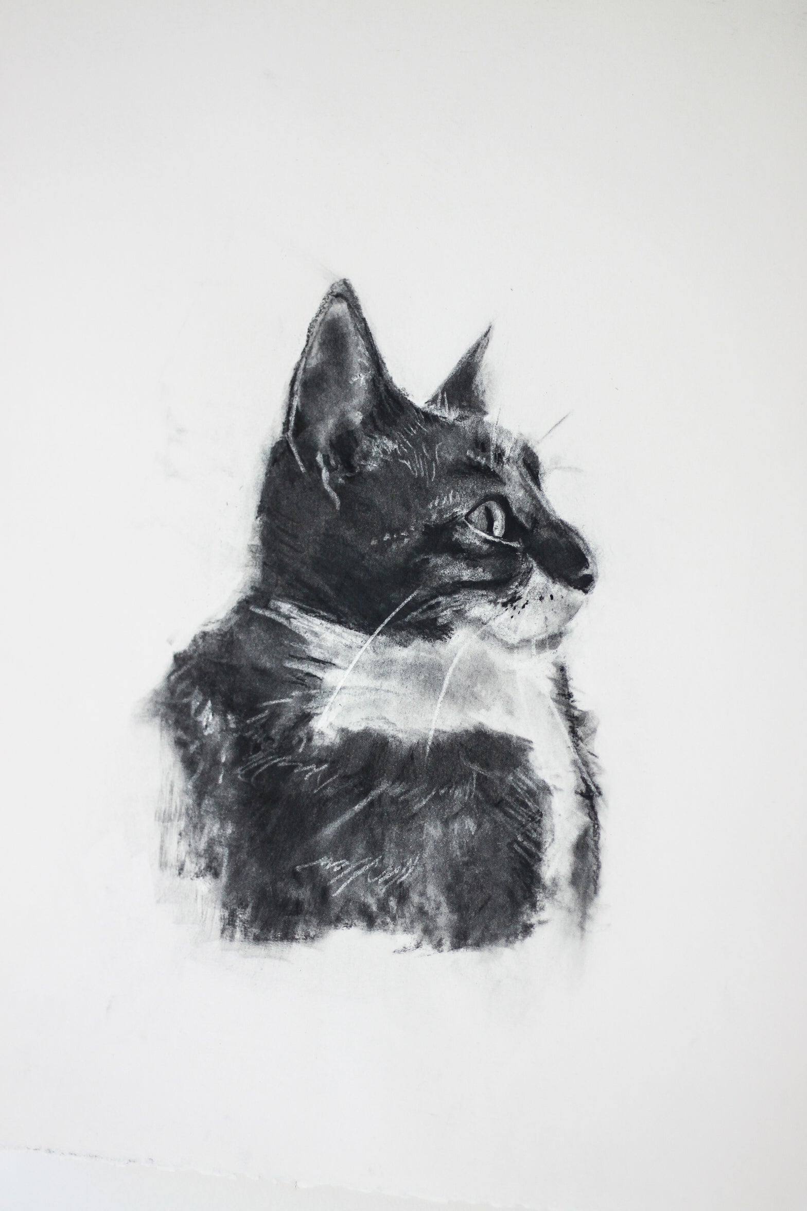 L.McK | 15x19 | Custom Portrait