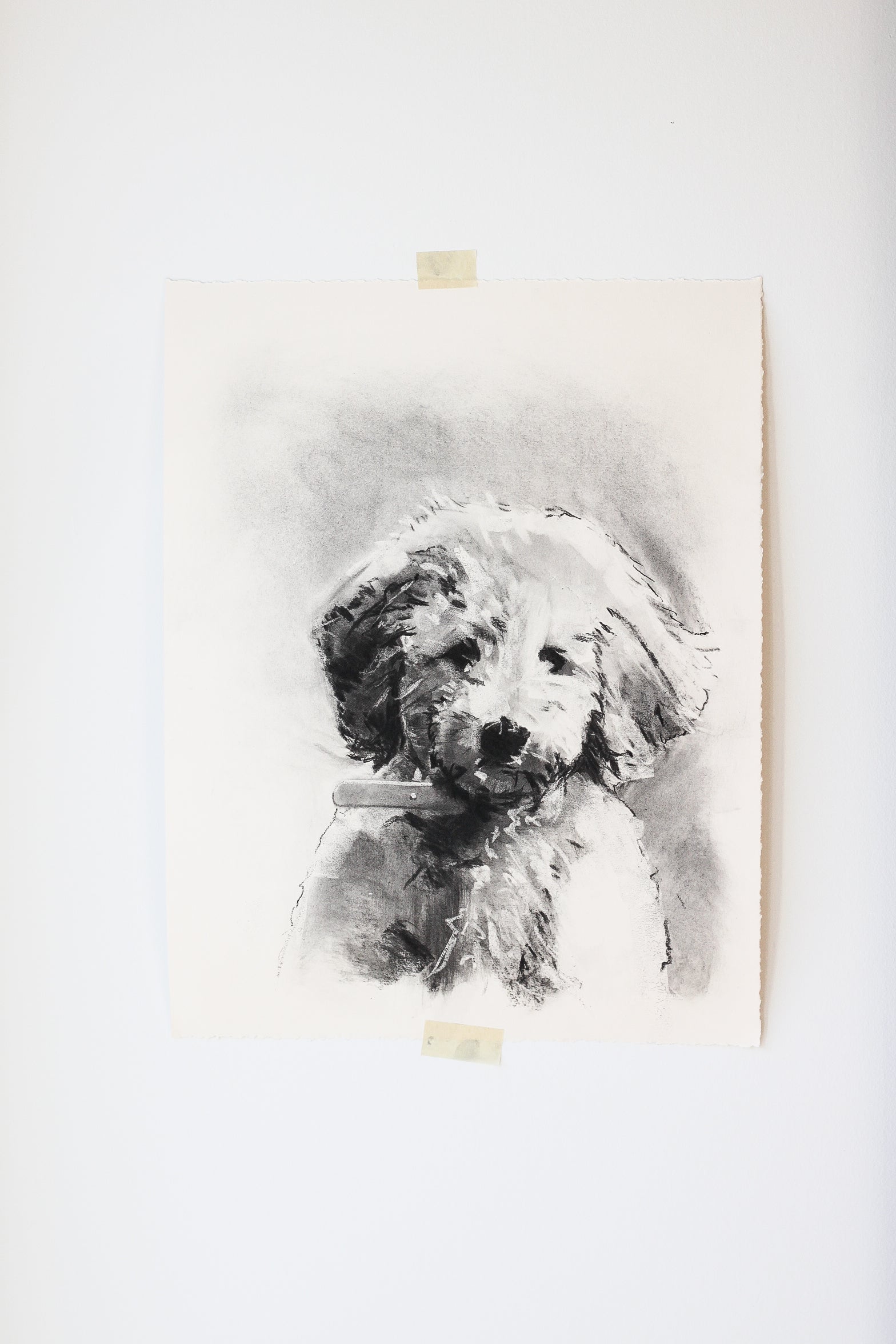 Shen | 15x19 | Custom Portrait