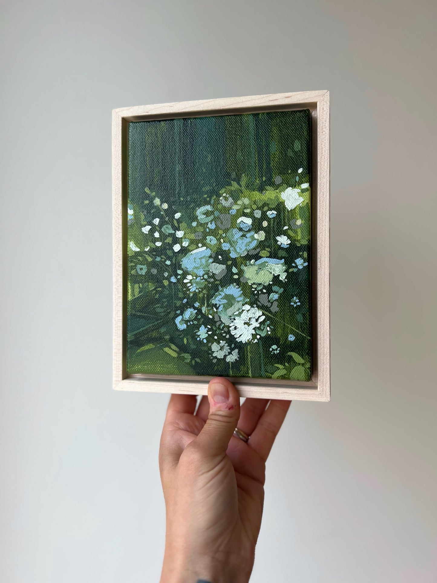 Queen Anne's Lace Sketch | 5x7 | Acrylic on Canvas Framed